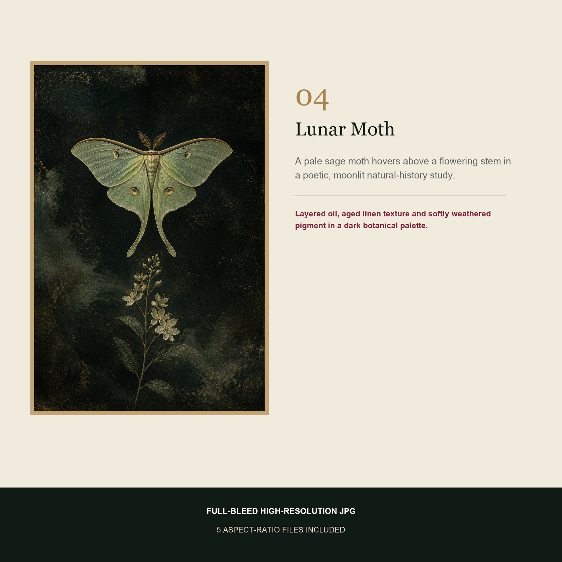 Velvet Botanica Printable Wall Art Set of 6 | Moody Dark Botanical Gallery Wall Digital Prints